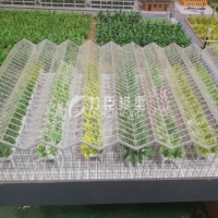 农业种植模型9
