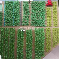 农业种植模型13