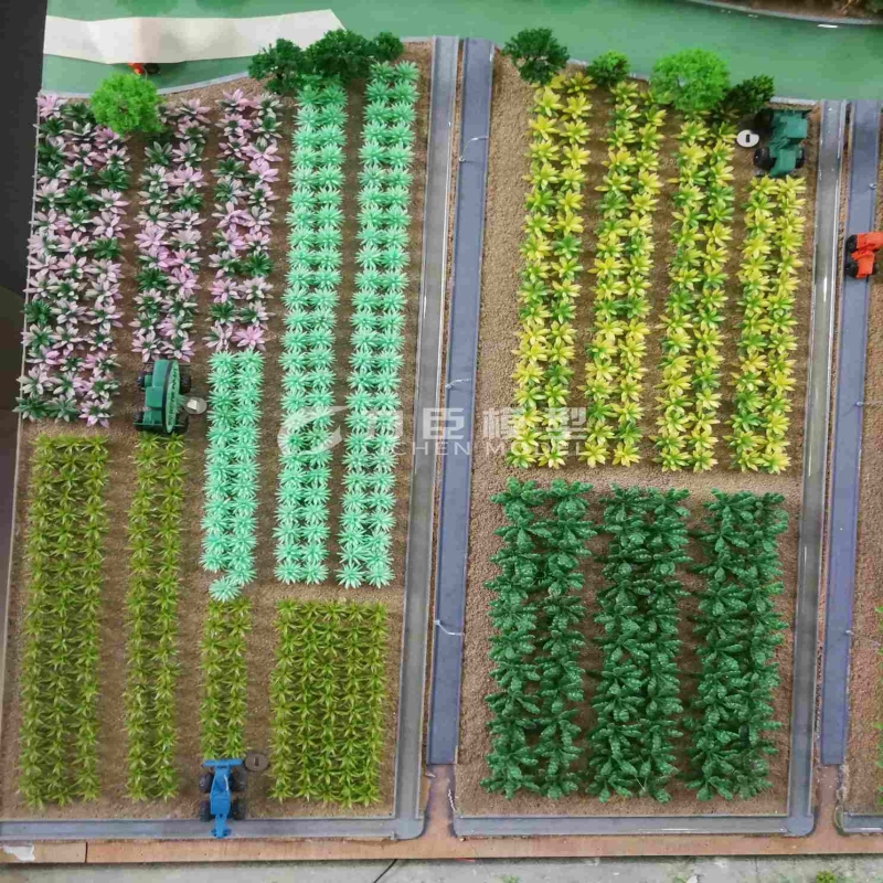 农业种植模型12