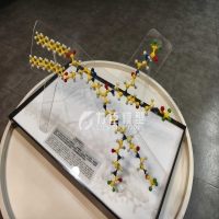 树枝状类分子模型