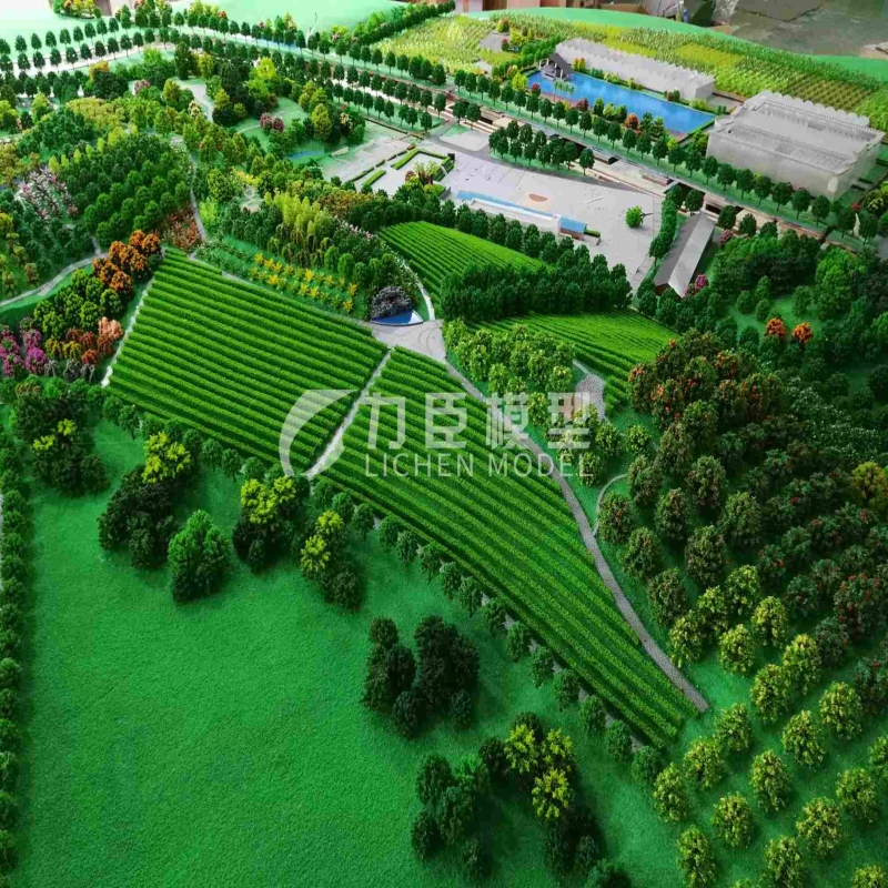 农业种植模型1