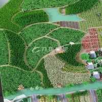 农业种植模型14