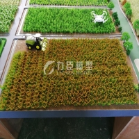 农业种植模型4