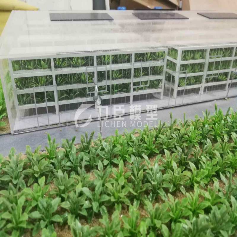 农业种植模型7