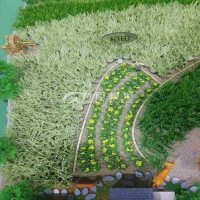 农业种植模型6